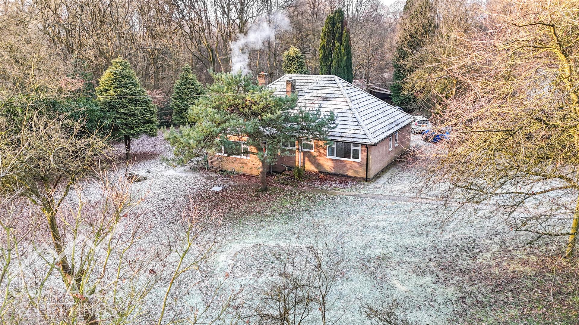 Sutton Spring Wood, Calow